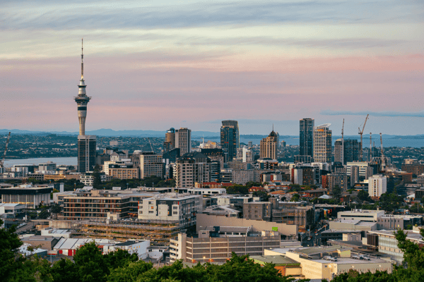 Power and Fibre for a New Build in Auckland: What Vector and Chorus Charge