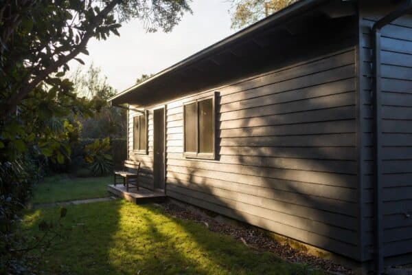 Protected Trees in Auckland: What Needs Consent Before You Build