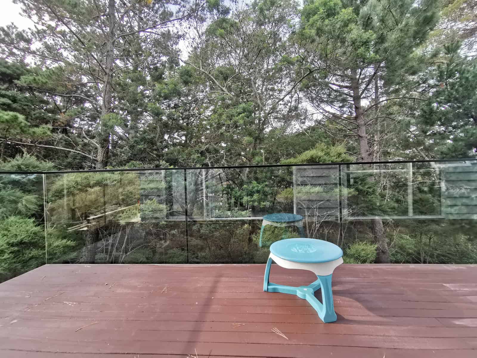 Timber deck with a glass balustrade looking into mature trees, Albany
