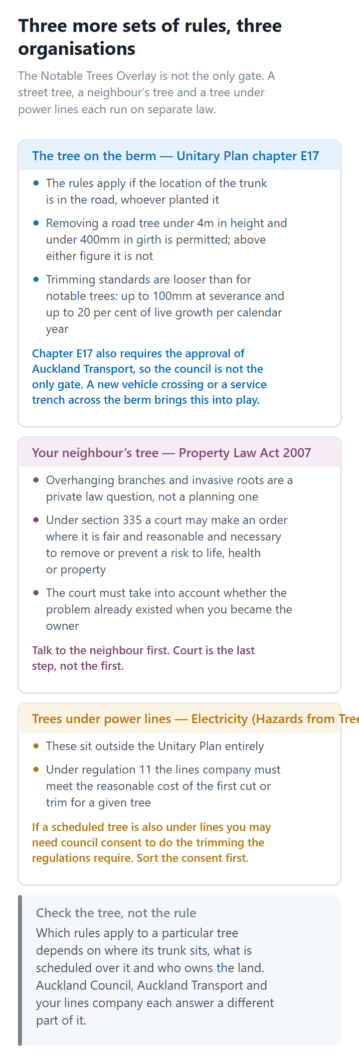 The separate rules governing Auckland street trees, a neighbour’s tree and trees growing under power lines
